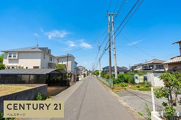 お散歩にぴったりなのどかな雰囲気です!