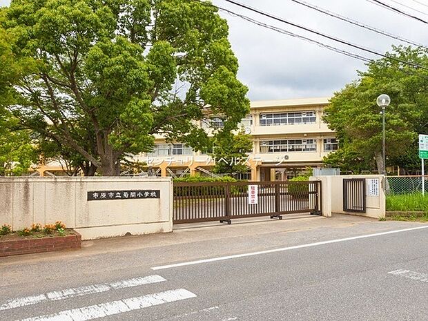 市原市立菊間小学校まで1602m