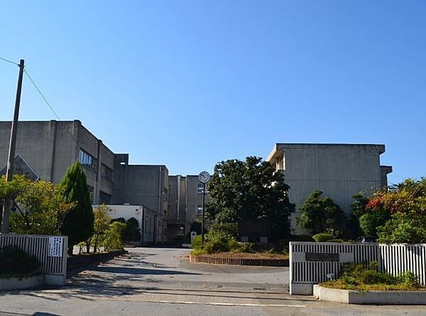 市原市立若葉中学校まで1793m