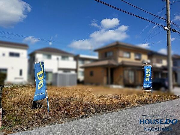 外観：325000120811