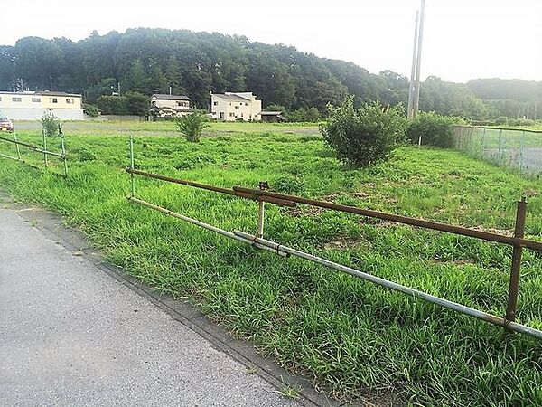 外観：309000089768