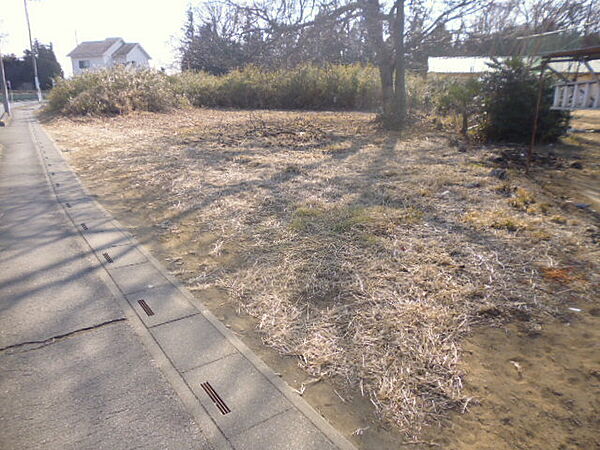 外観：311002361411