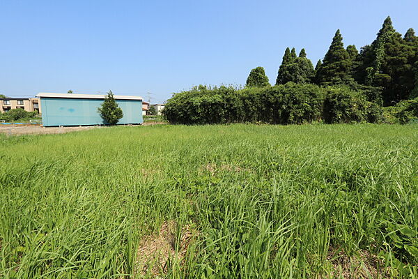 外観：312001123428