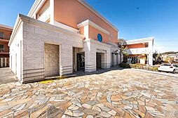 アデニウム葉山