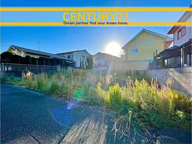 ■■現地写真■■