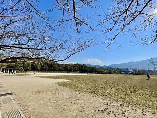 桧原運動公園まで1129m