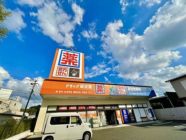 ドラッグ新生堂五条店まで871m、新生堂　～健康なくらしのお手伝い～