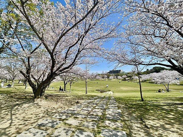 春日公園まで1731m、春日公園