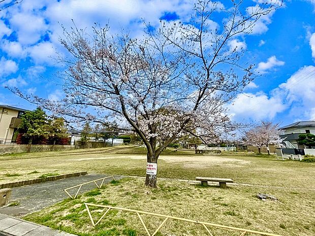 長住南公園まで922m