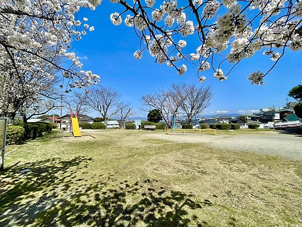 柏原北公園まで743m