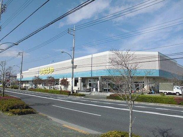 いなげやあきる野雨間店まで1180m