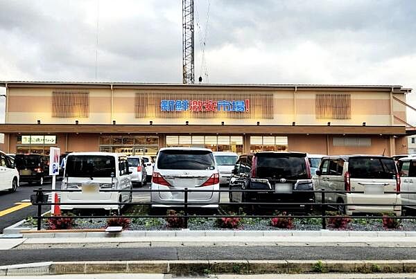 新鮮市場　太秦店まで481m