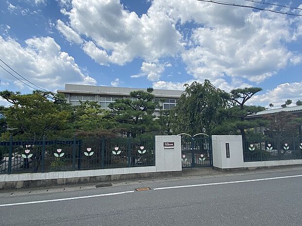 ときわ保育園まで509m