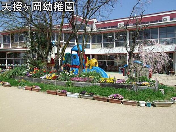 認定こども園 天授ヶ岡幼稚園まで388m