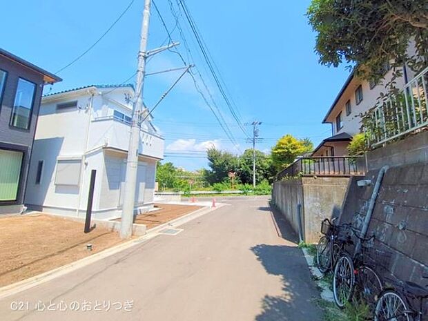 撮影日:2025/07/28