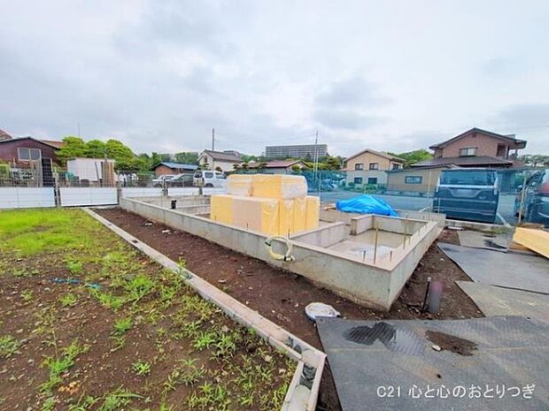 撮影日:2025/05/12