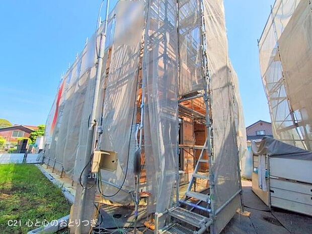 撮影日:2025/05/28