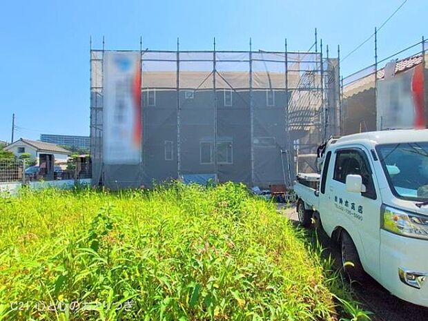 撮影日:2025/06/17