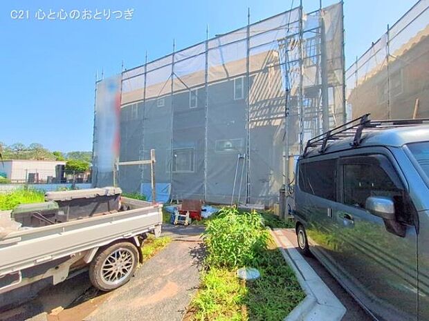 撮影日:2025/06/17