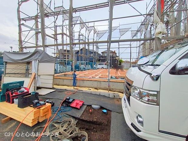 撮影日:2025/05/12