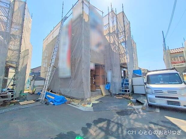 撮影日:2025/06/17