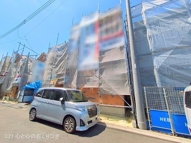 撮影日:2025/05/28