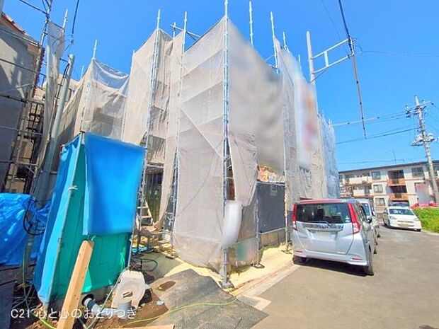 撮影日:2025/06/17