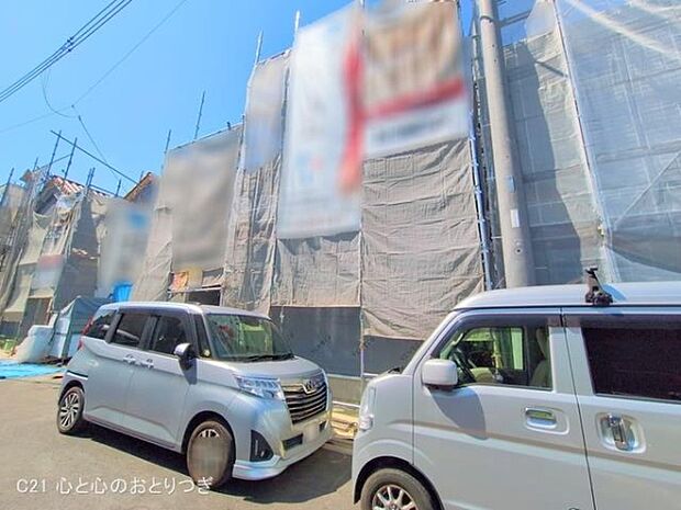 撮影日:2025/06/17