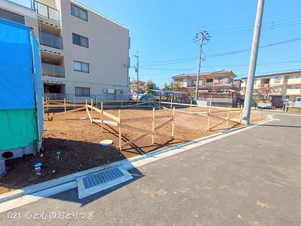 撮影日:2025/03/10