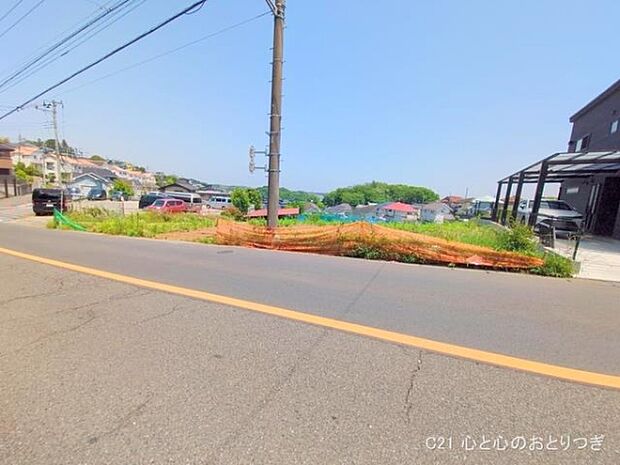 撮影日:2025/05/20