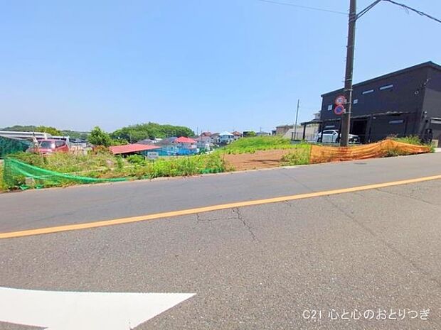 撮影日:2025/05/20