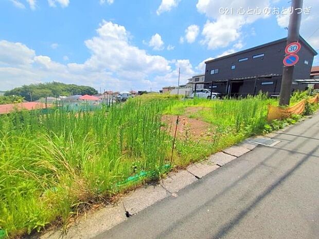 撮影日:2025/07/31