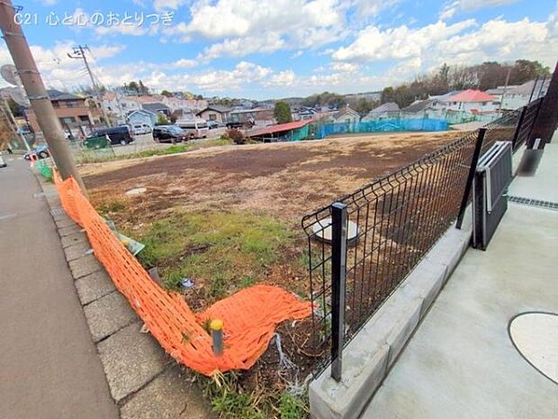 撮影日:2025/03/17