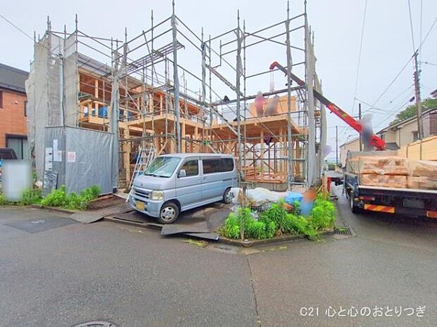 撮影日:2025/06/11