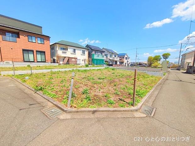 撮影日:2025/04/15