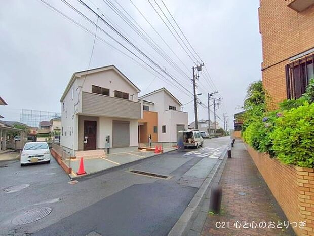 撮影日:2025/06/11