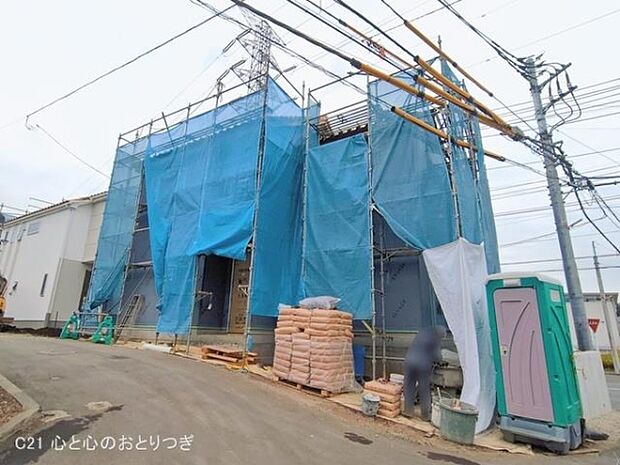 撮影日:2026/01/28