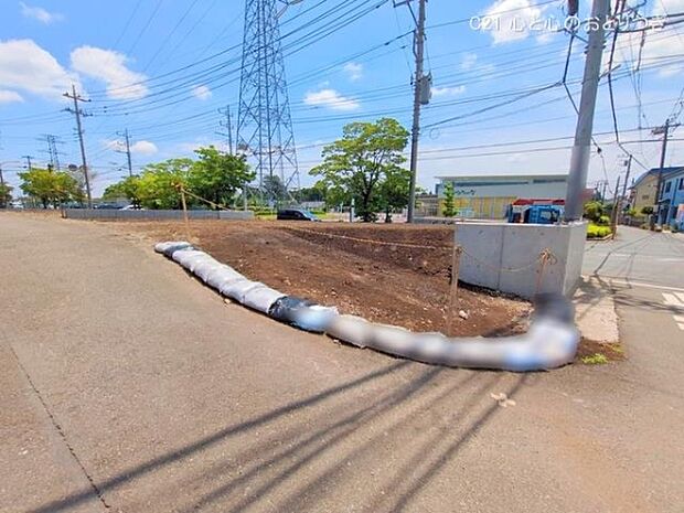 撮影日:2025/05/28