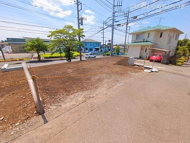 撮影日:2025/05/28