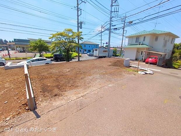 撮影日:2025/06/17