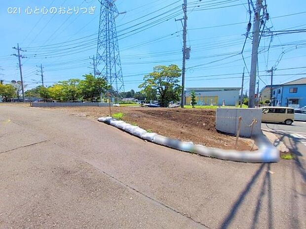 撮影日:2025/06/17