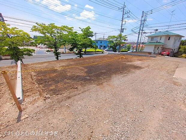 撮影日:2025/05/28