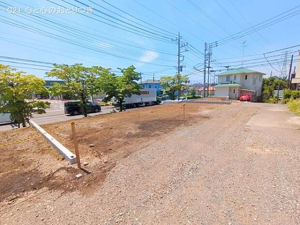 撮影日:2025/06/17