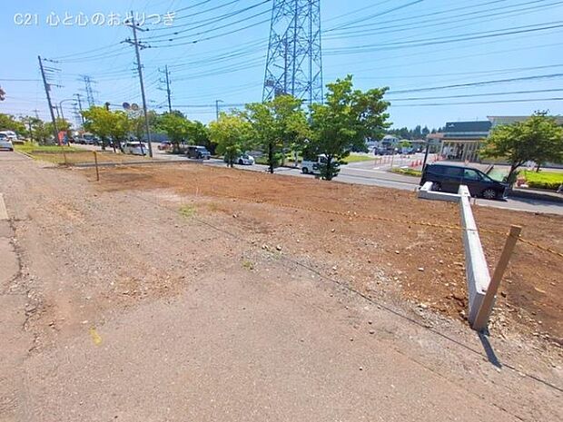 撮影日:2025/06/17