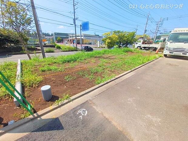 撮影日:2025/07/10