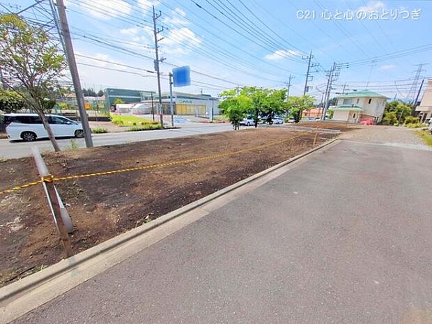 撮影日:2025/05/28