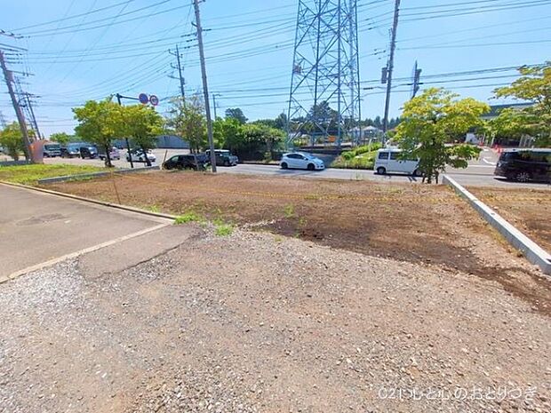 撮影日:2025/06/17