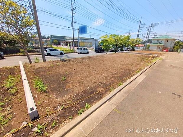 撮影日:2025/06/17