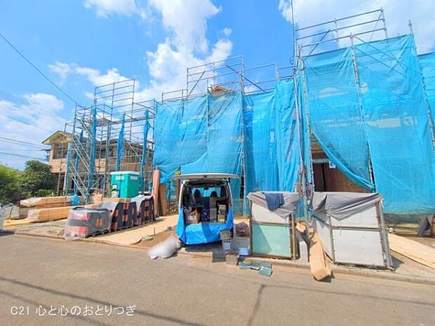 撮影日:2025/07/29