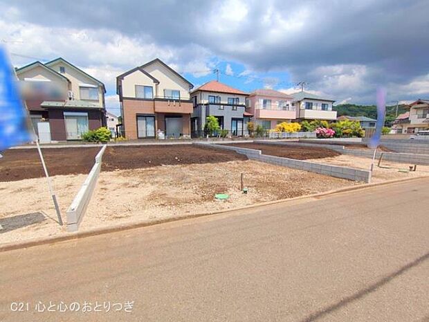 撮影日:2025/05/15